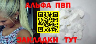 крисы Шелехов