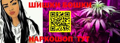 крисы Шелехов