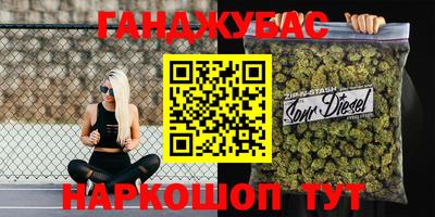 крисы Шелехов