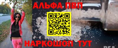 крисы Шелехов