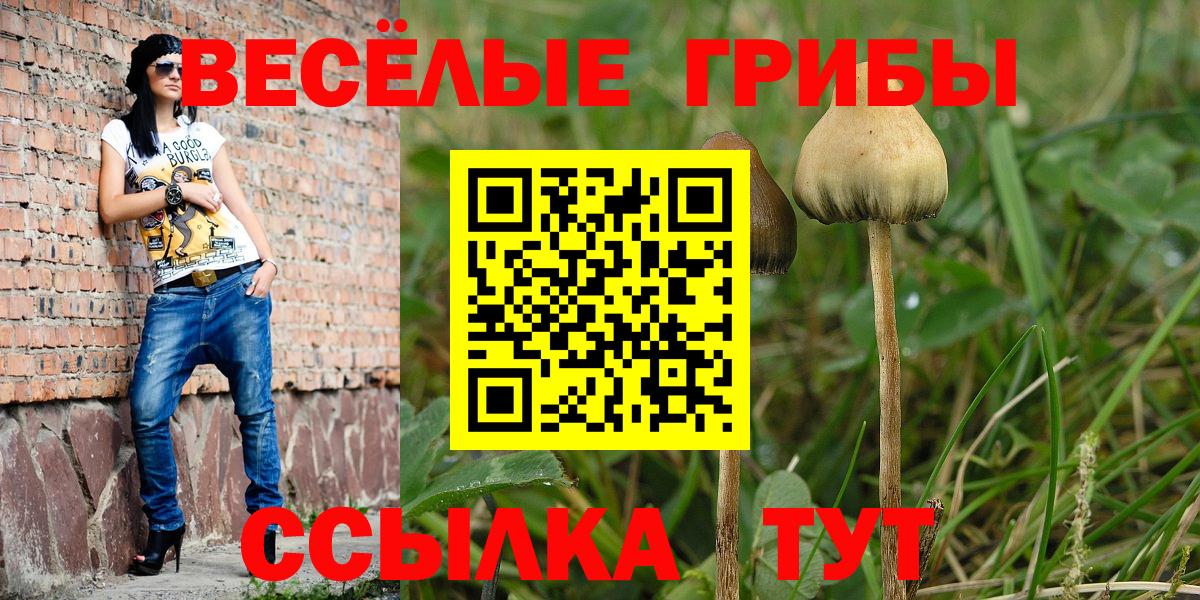 Галлюциногенные грибы Cubensis  Галлюциногенные грибы мицелий  Вход с VPN  Ульяновск 