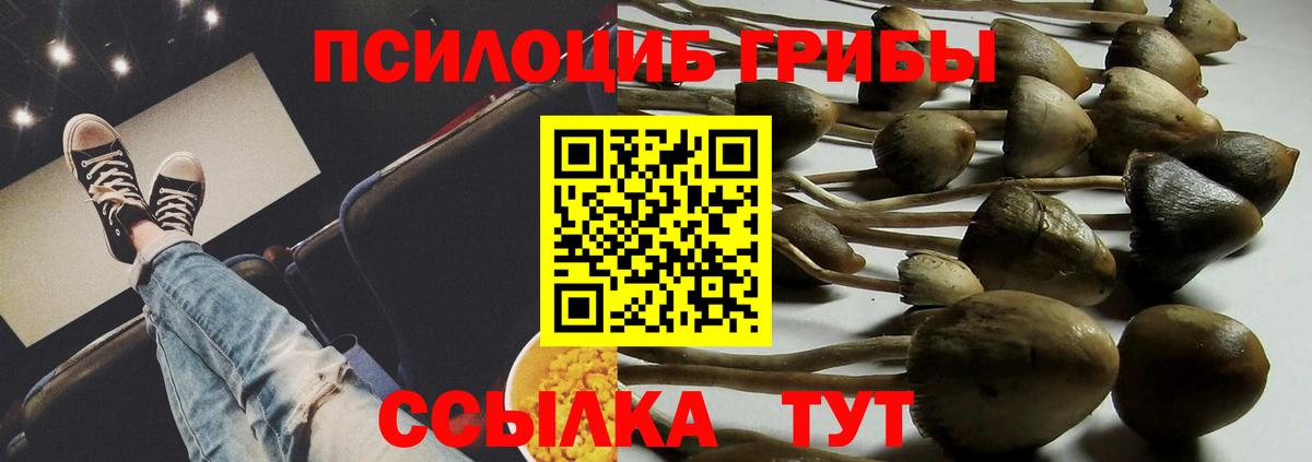Галлюциногенные грибы прущие грибы Ульяновск